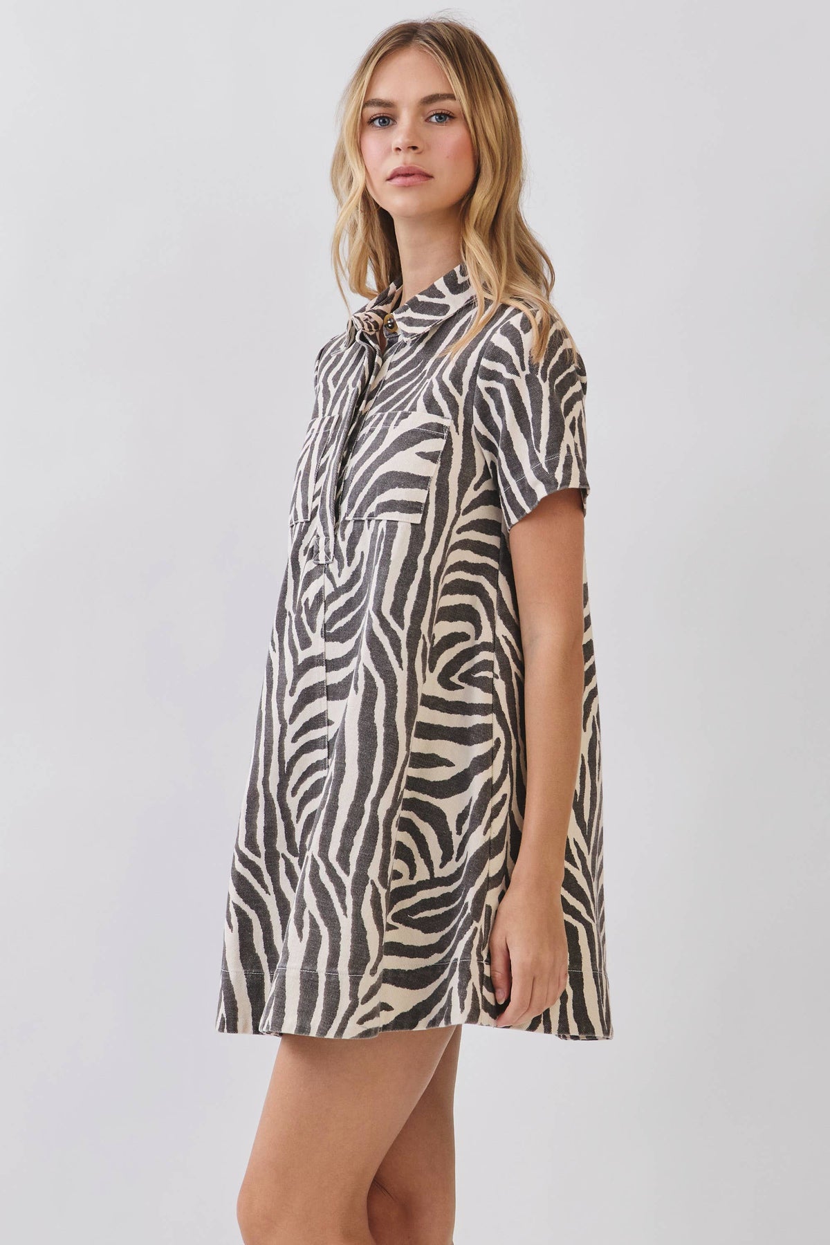 Wild Side Denim Dress